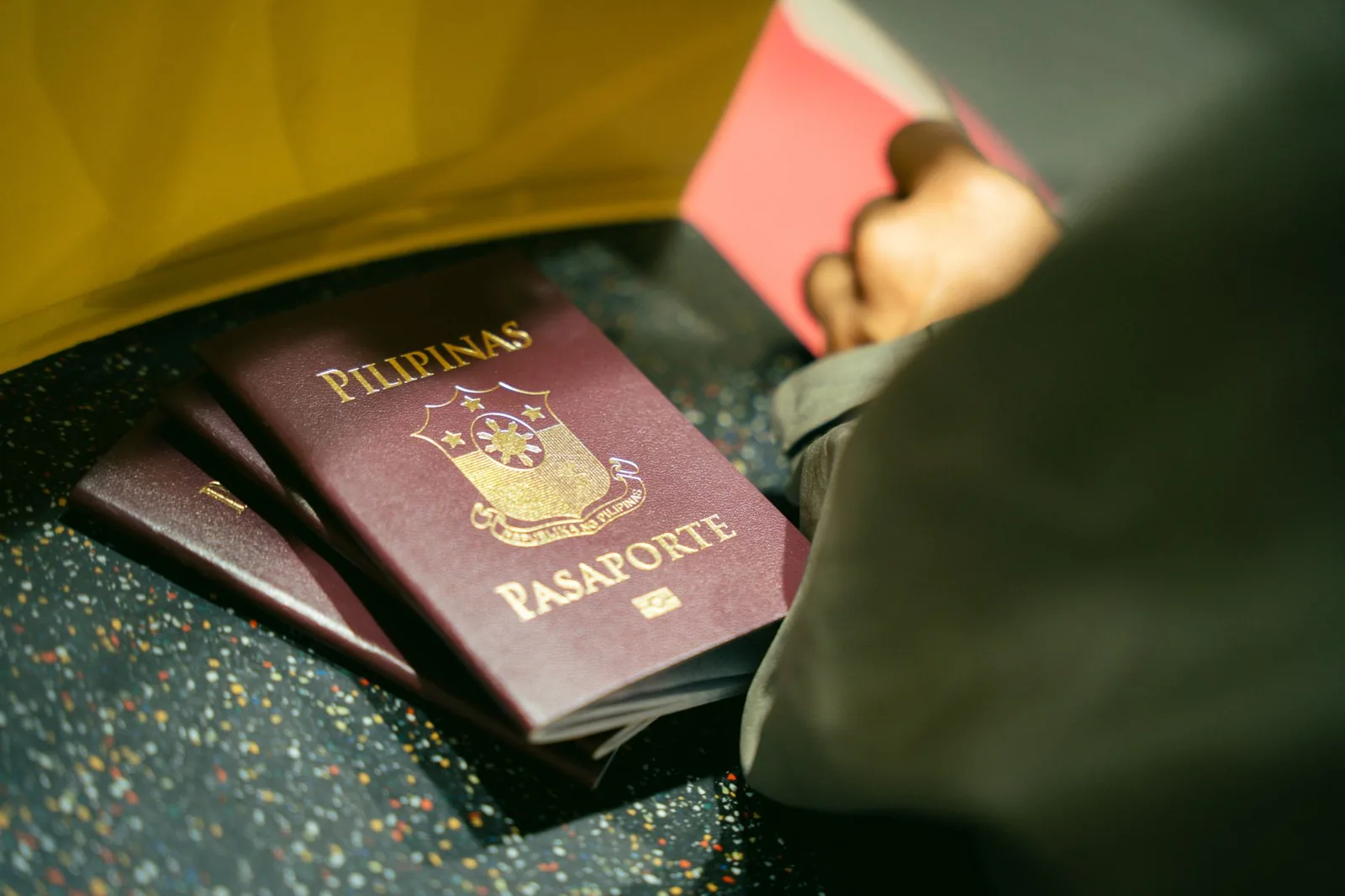 Passport processing cost