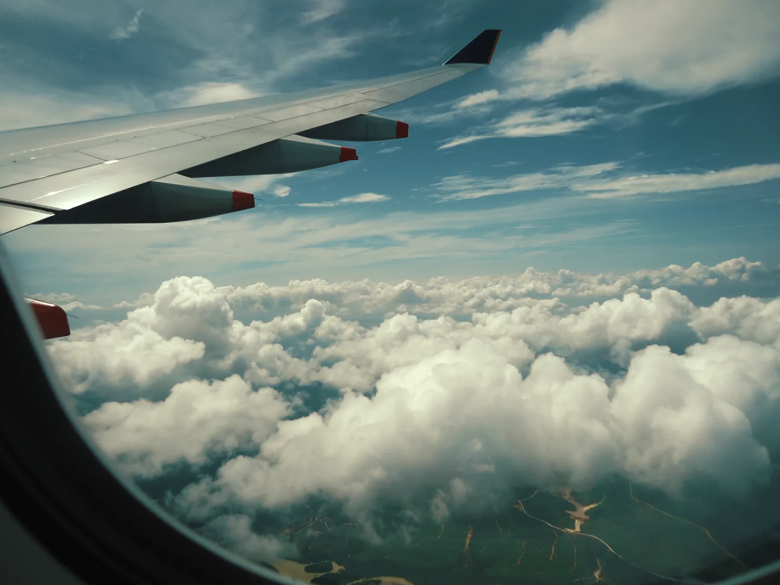 Traveler reviewing insurance documents