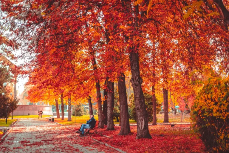 Best Places to Visit in Fall: 12 Stunning Autumn Getaways Across the Globe