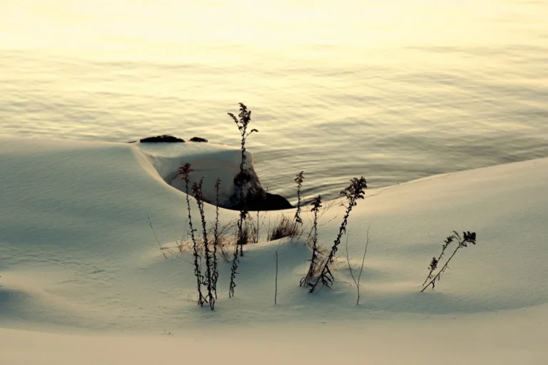 Where to Travel in the Winter: Sun, Snow, and Smart-Budget Destinations